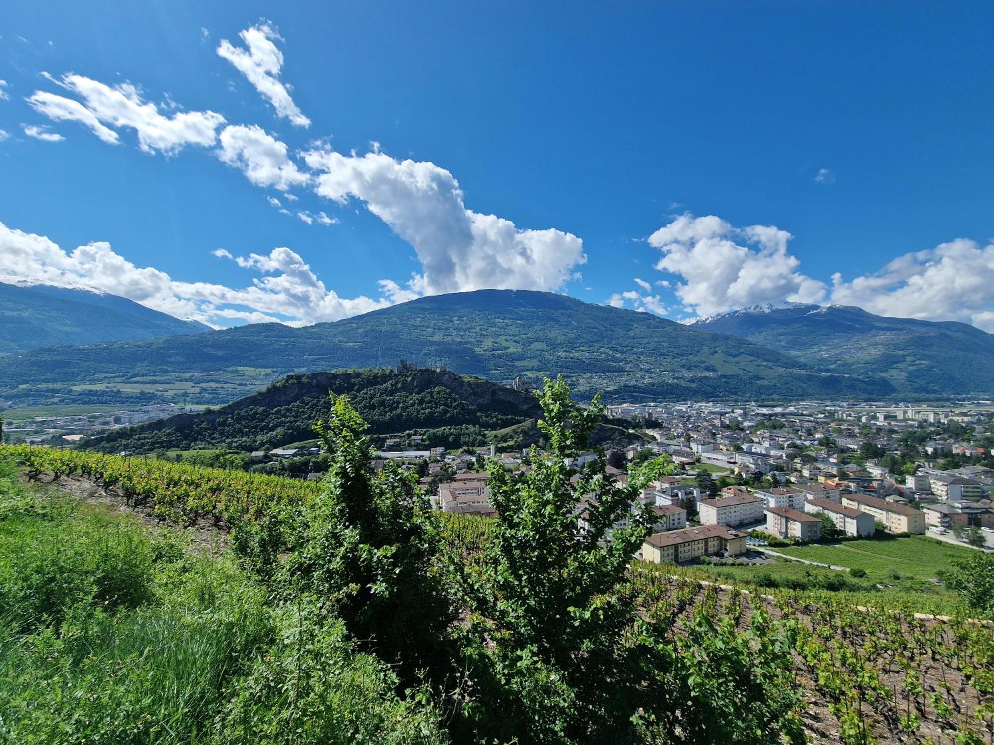 Bella Flocon Appartements Min 2 Nights Special Weekly And Monthly Prices (Adults Only) Savièse Exteriér fotografie